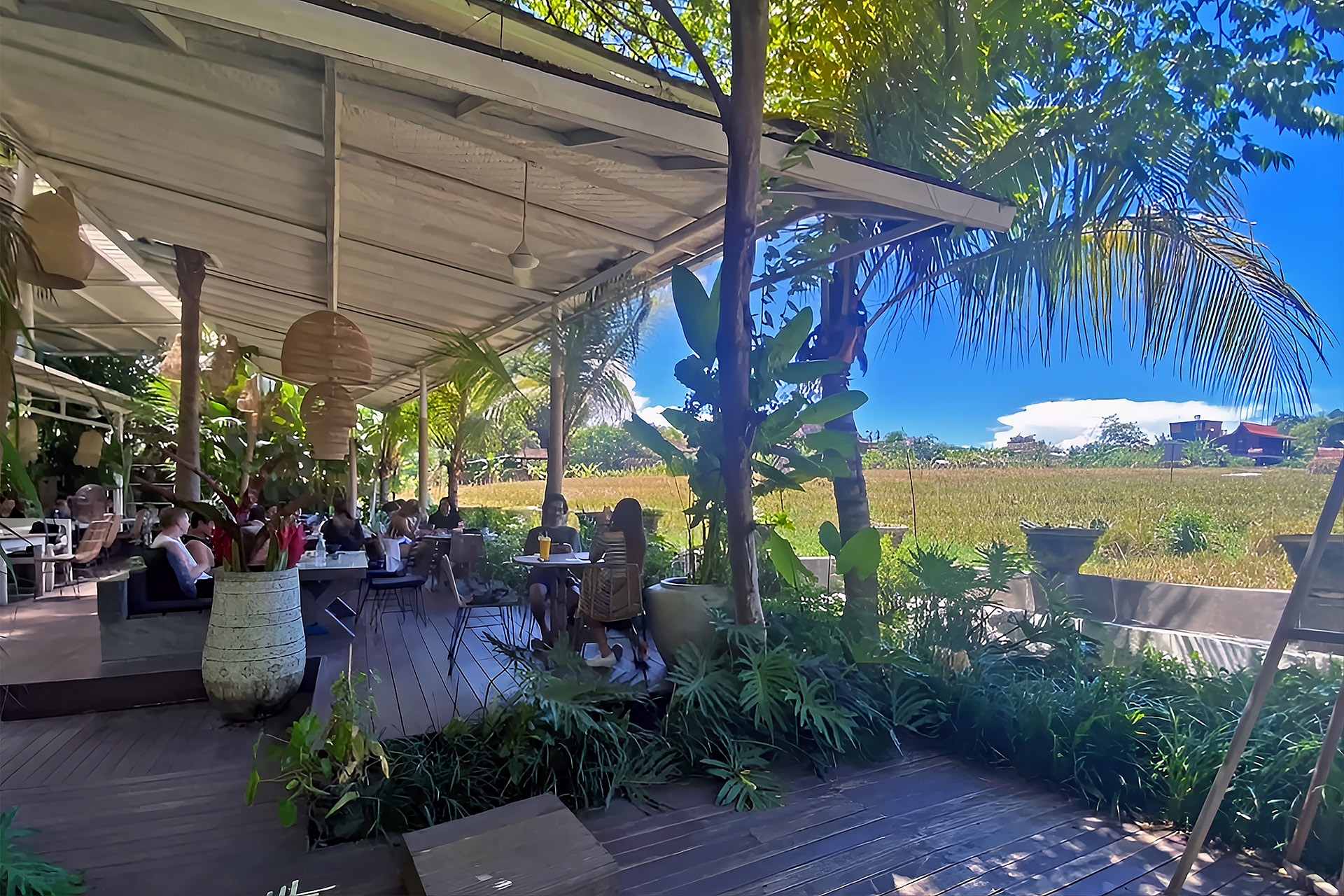 Recommended Restaurants Near Villa Manggala Berawa - Milu By Nook Bali
